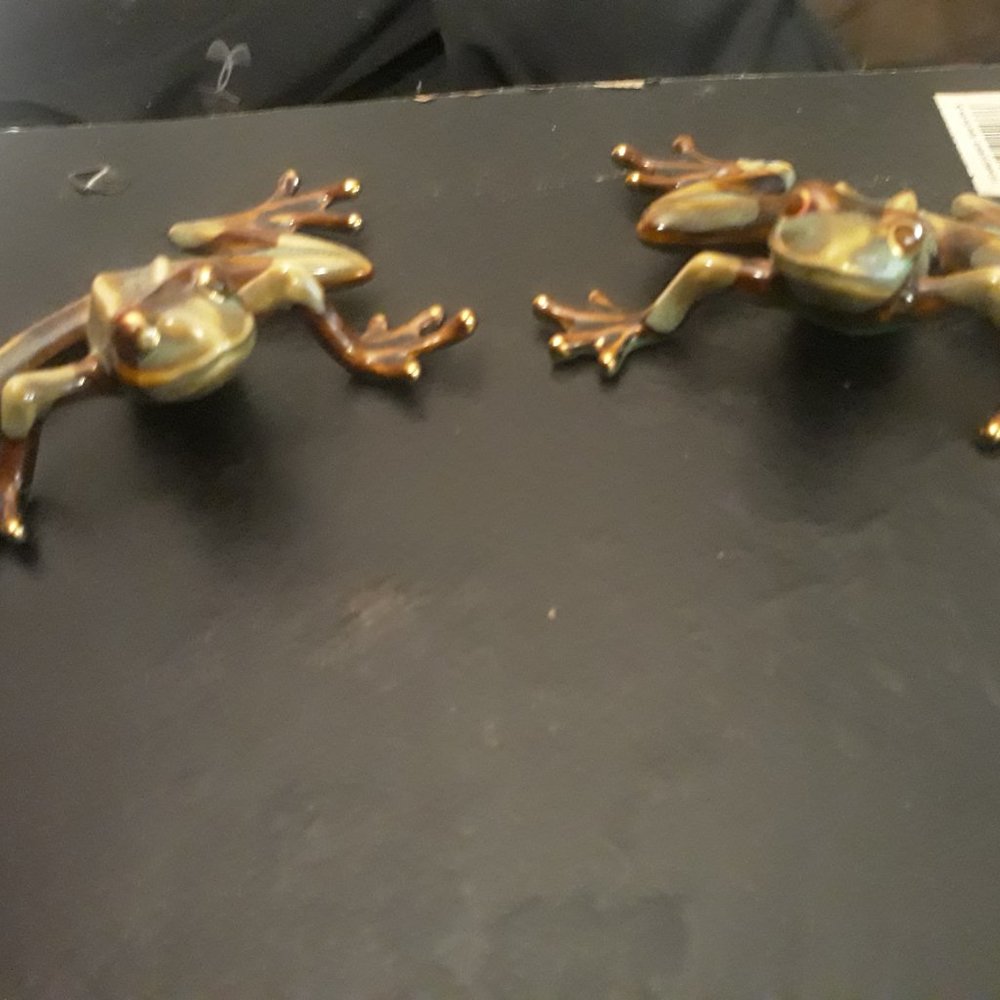 beautiful tree frog ceramic